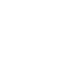 Social 1 Icon