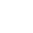 Social 2 Icon